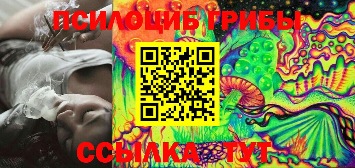 Псилоцибиновые грибы Psilocybine cubensis Москва
