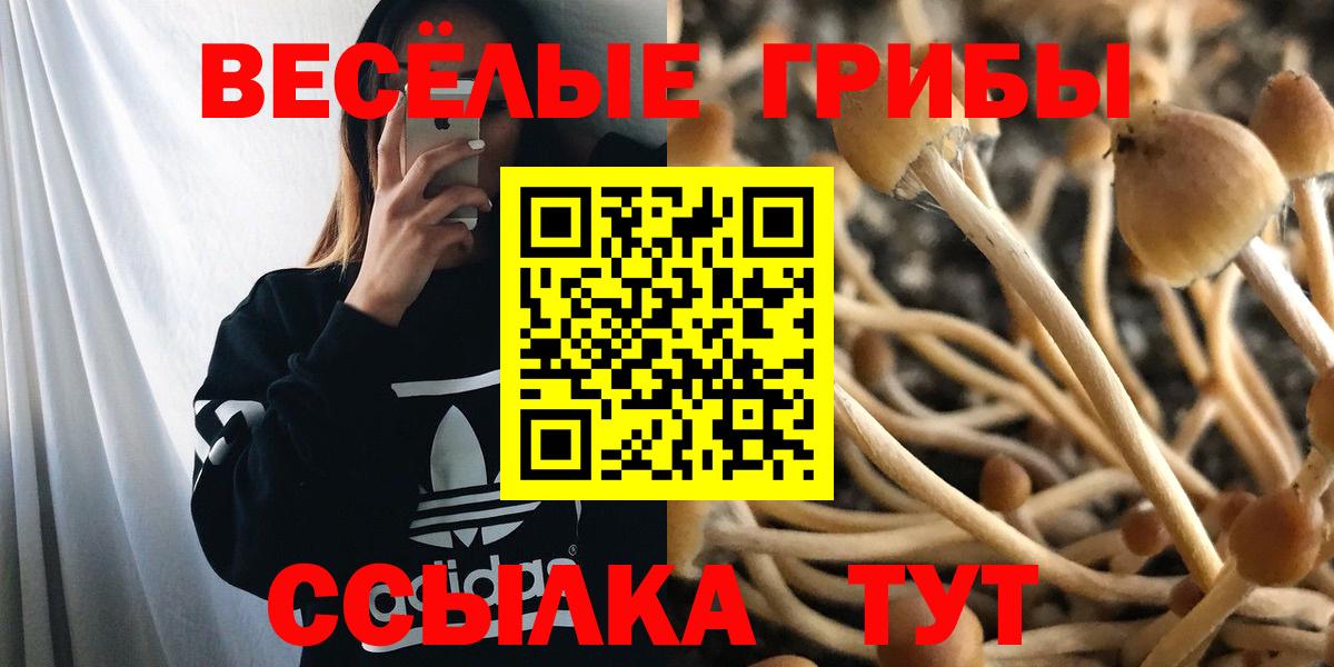 где продают   Галлюциногенные грибы Psilocybe  Галлюциногенные грибы мицелий  Вход с VPN  Москва 